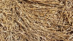 straw